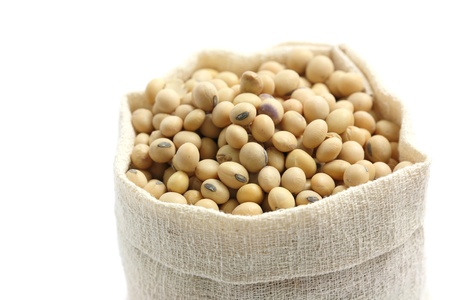 Soybean in sack isolated in white background の写真素材
