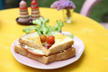 sandwich ham and cheeseの写真素材