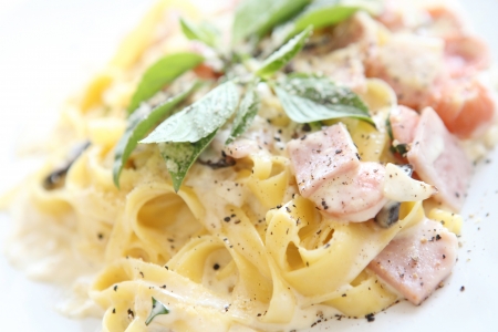 fettuccine carbonaraの写真素材