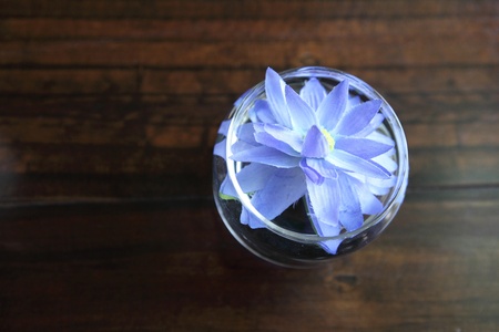 flower in jarの写真素材