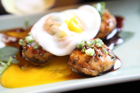 Hamburg , Japanese Hamburgerの写真素材