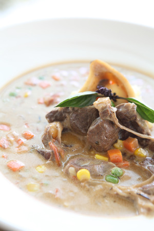 beef stew on plateの写真素材