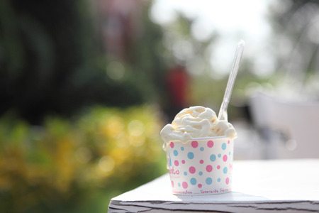 vanilla ice cream