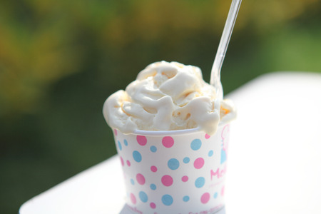 vanilla ice cream