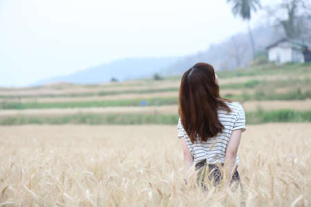 Young woman in wheatの写真素材