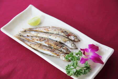 Grill Mackarel fish japanese foodの写真素材