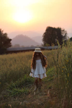 Asian girl on wheat fieldの写真素材