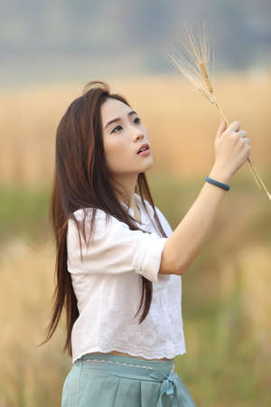 Asian girl on wheat fieldの写真素材