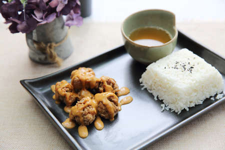 karaage fried chicken with rice japanese foodの写真素材