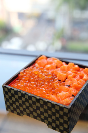 Japanese Bento Lunch Salmon sashimiの写真素材