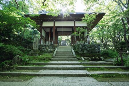 Tample japan in green trees with sunsetのeditorial素材