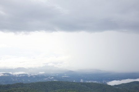 mountain forest and raining fog