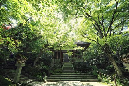 Japanese temple in garden