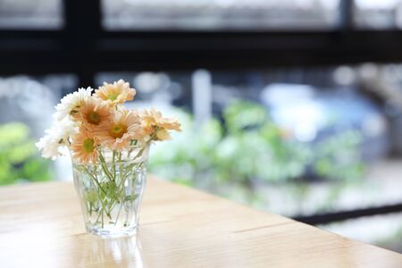 daisy flower in jarの写真素材