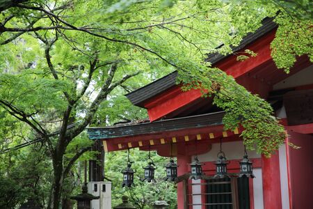 Japanese Temple in Nara cityのeditorial素材