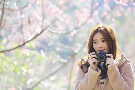 Asian woman with camera in cherry blossom flower gardenの写真素材
