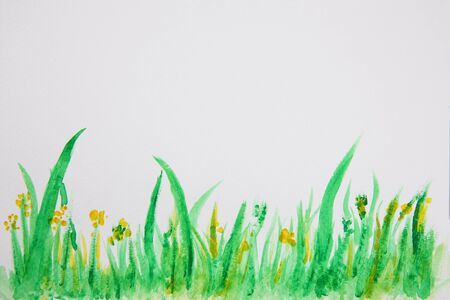 Abstract grass watercolor background textureの写真素材