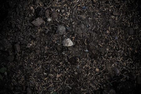 Dark soil backgroundの写真素材