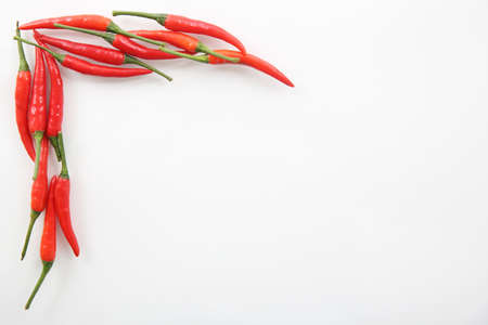 chili pepper isolated on a white background with space