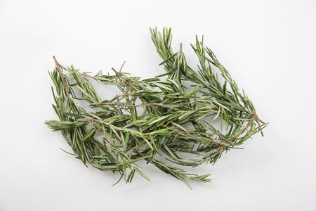 Rosemary isolated in white backgroundの写真素材