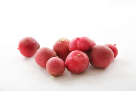 Radish vegetable isolated in white backgroundの写真素材