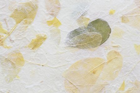 Striped flowers on Mulberry paper texture backgroundの写真素材