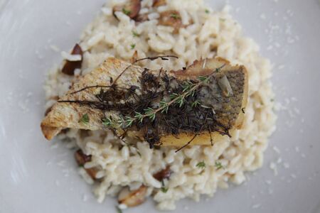 risotto with sea bass fillet steak on wood background , italian food の写真素材