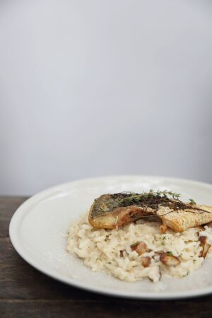 risotto with sea bass fillet steak on wood background , italian food の写真素材