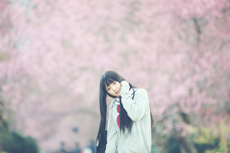 Japanese school girl dress looking sakura flower nature walkwayの写真素材
