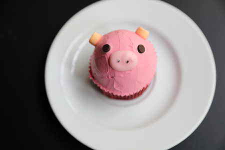 Fancy cupcake cute pig faceの写真素材