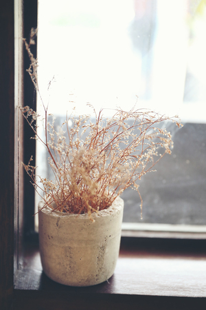 Dry plant flower in vase on the wood windowの写真素材