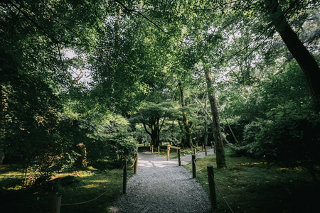 Japanese garden walkway with tree leaves film vintage styleの写真素材