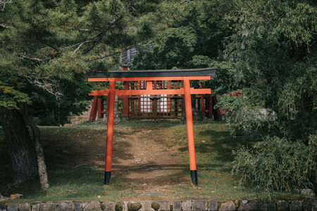 Pathway torii gates with green leaves backgroundの写真素材