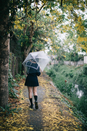 Portrait of Asian school girl walking with umbrella at  nature walkway on rainingの写真素材