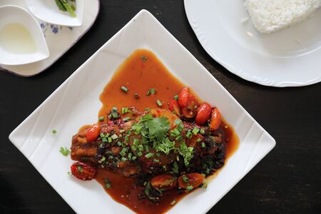 Fried fish with spicy sauce and rice , traditional thai foodの写真素材