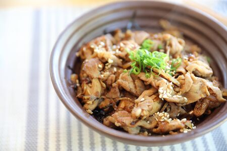 Gyudon , Japanese beef rice bowl in close up Japanese local food