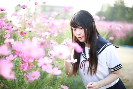 Portrait of Japanese school girl uniform with pink cosmos flowerの写真素材