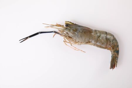 Raw prawn isolated in white baackgroundの写真素材