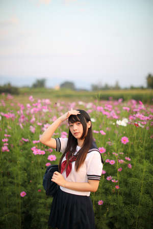 Portrait of Japanese school girl uniform with pink cosmos flowerの写真素材