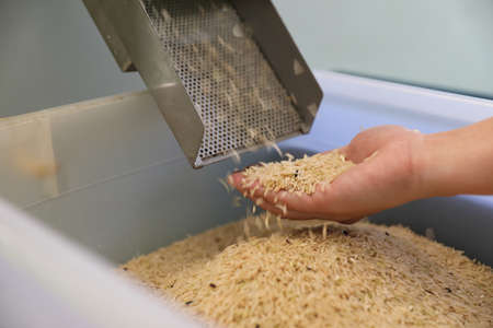 Factory machine Milling rice in close upの写真素材