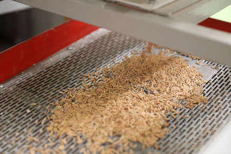 Factory machine Milling rice in close upの写真素材