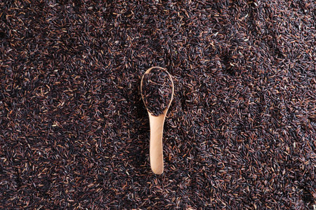 Organic raw riceberry rice on spoon in close upの写真素材