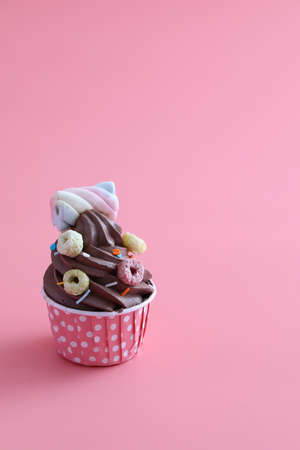 Chocolate cupcake isolated in pink backgroundの写真素材