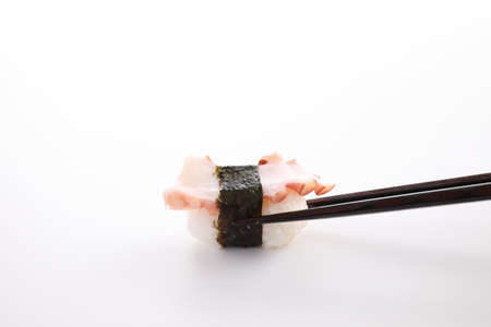 Tako nigiri Octopus Sushi japanese food isolated in white backgroundの写真素材