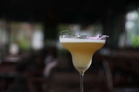 Yellow Cocktail glass with ice at a bar counterの写真素材