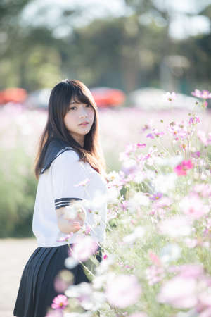 Portrait of Japanese school girl uniform with pink cosmos flowerの写真素材