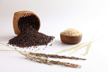 Organic raw brown rice and riceberry rice in close up