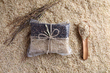 Organic raw brown rice and riceberry rice in close up