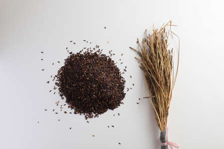 Raw organic riceberry rice in close up