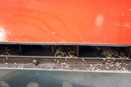 Factory machine Milling rice in close upの写真素材